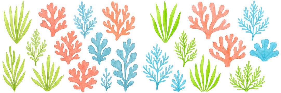 Vibrant illustration of colorful coral and sea plants, creating an underwater ecosystem theme.