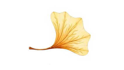 Naklejka premium Single yellow ginkgo leaf isolated on white background. Minimal botanical illustration ideal for autumn themes, nature graphics, and eco inspired design.