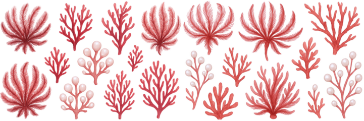A vibrant array of coral illustrations in shades of pink and white, showcasing marine beauty.