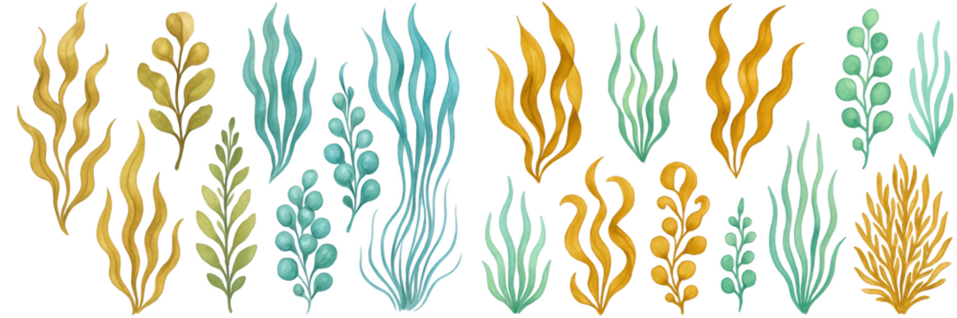 Colorful underwater plants in various shapes and sizes, showcasing vibrant greens and yellows.