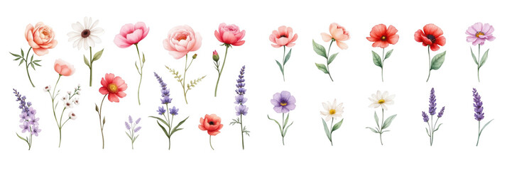 Obraz premium A vibrant collection of various flowers in pastel colors, perfect for spring-themed designs.