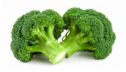 broccoli isolated on white background