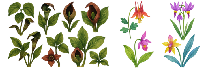 An assortment of vibrant flowers and leaves, showcasing nature's beauty in intricate detail.