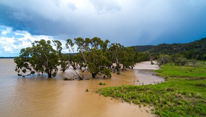 Murky floodwaters inundate a lakeshore, partially submerging a cluster of trees