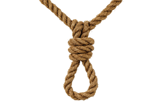 Close-up of a hanging noose.  A thick, light brown rope forms a knot, creating a classic loop.  Isolated on black