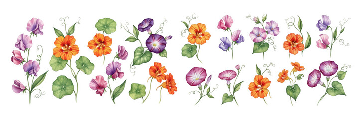 A vibrant array of colorful flowers, showcasing shades of orange, purple, and green.