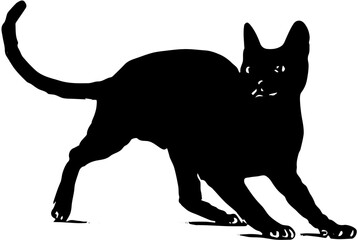 black and white cat vector