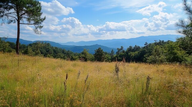 Expansive meadow landscape, rolling hills, and distant mountains under a partly cloudy sky
