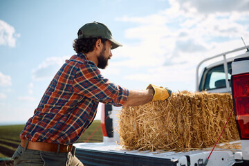 Farm worker loading hay bales in the back of his truck.