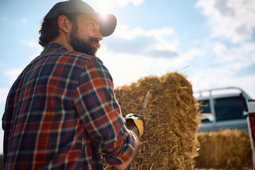 Farmer preparing hay bales for transport while loading them in his pick-up truck in the field. © Drazen