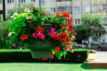 A hanging flower pot with a variety of colorful flowers