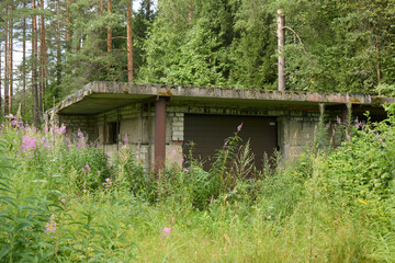 An Abandoned Structure Surprisingly Surrounded by a Lush and Beautiful Forest Environment