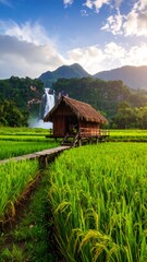 Rustic hut nestled in rice paddies