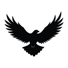Fototapeta premium ---flying-eagle-silhouette-with-spread-wings--vect.eps