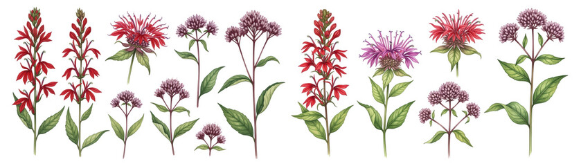 Fototapeta premium A vibrant array of hand-drawn flowering plants showcasing various colors and shapes.