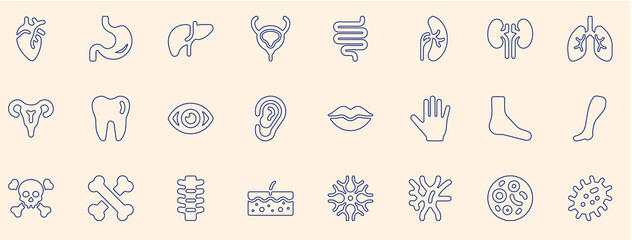 Medical Line Icons Set – Human Organs, Anatomy, and Healthcare Symbols Vector Illustration