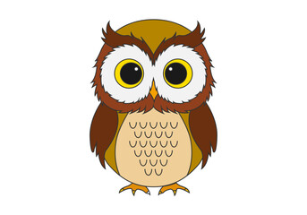 Buho pequeño marrón en fondo blanco