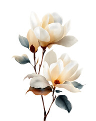 Obraz premium Elegant Magnolia Blossoms Branch Creamy White Petals Dark Green Leaves