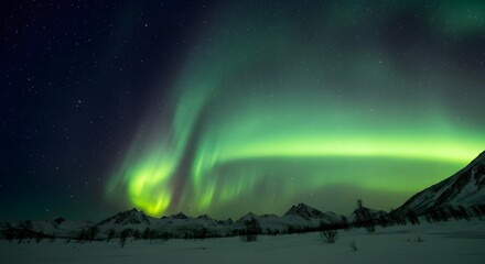 Stunning aurora borealis dancing across the night sky over snow-covered mountains