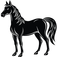 Arabian Horse Silhouette