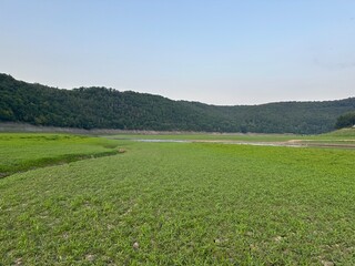 Edersee-Atlantis, Asel