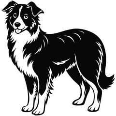 Border Collie Silhouette