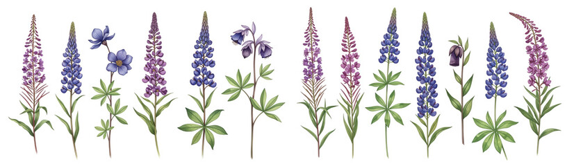 Naklejka premium A vibrant collection of purple and blue flowers in various shapes, showcasing their natural beauty.