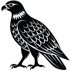 Buzzard Silhouette