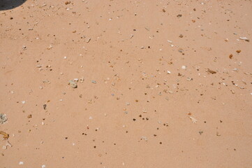 Sand beach background. Top view. 