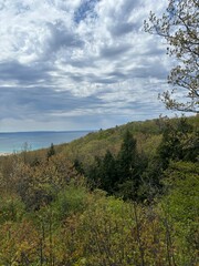 landscape with trees and clouds
