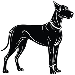 Fototapeta premium Great Dane Silhouette