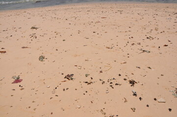 Sand beach background. Top view. 