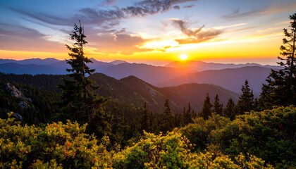 Sunset over a mountain range, viewed from a high vantage point amongst evergreen trees and flowering shrubs