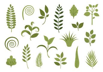Collection of various green leaves and plants design elements