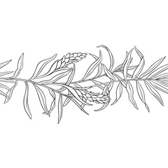 Ginger Branch with Flowers, Roots and Leaves Outline Horizontal Seamless Pattern. Organic natural nutritional healthy food ingredient, vegetarian diet product. Vector isolated for design or decoration