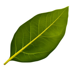 Green leaf with yellow stem on transparent background