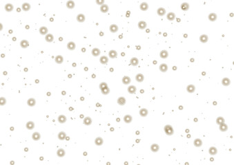 Christmas glowing stars dust particles overlay cutout on transparent background, sparkling stars seamless background cutout. Png image