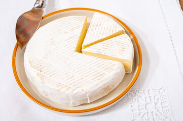 French soft cheeses collection, creamy cow's milk cheese roudou with white mold, France