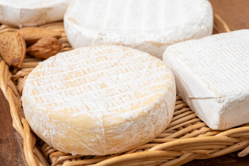 French soft cheeses collection, creamy cow's milk cheeses with white mold, France