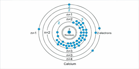 High-quality vector illustration of the Bohr model representing a calcium atom.