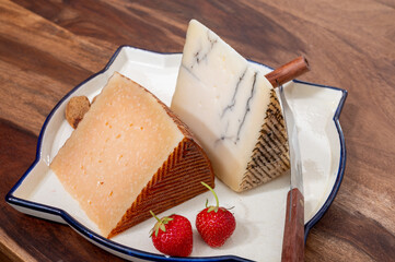 Two pieces of Spanish hard cheese, cow and sheep curado, manchego, goat cheese with added black truffle mushrooms and very old anejo tostado cheese