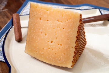 Very old anejo tostado Spanish hard cheese, cow and sheep curado, manchego, goat cheese close up