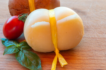Cheese collection, white and smoked yellow italian scamorza cheese