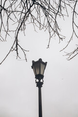 An upward-facing shot of an ornate antique street lamp, framed by the bare branches of a tree...