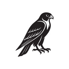 vector illustration of a falcon