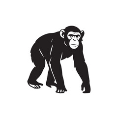chimpanzee vector illustration
