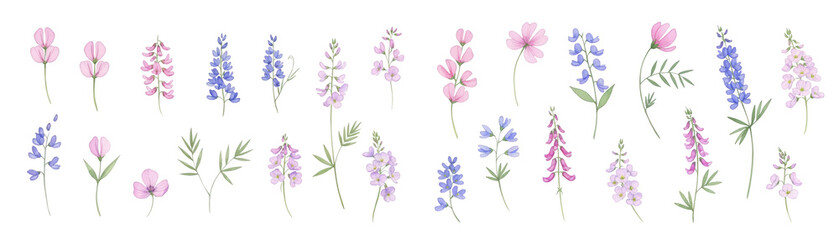 Delicate floral illustration featuring a variety of colorful flowers in shades of pink and blue.