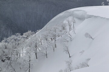 雪に覆われた山