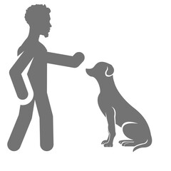 dog training vector illustration design.
