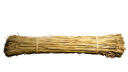 Bundled dry palm leaves tied with rope on a white background